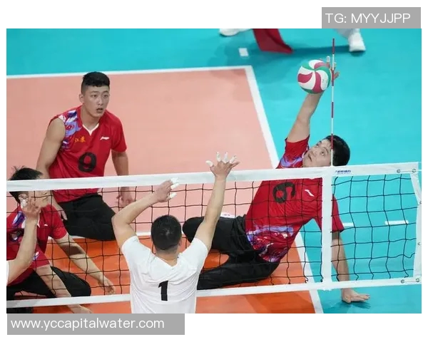 南京排球队创历史新高排球速度排名引发热议