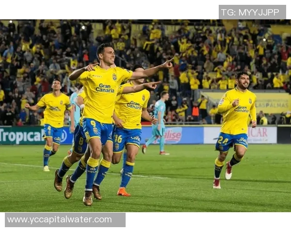 马竞与多特蒙德激情对决360直播全程回顾与精彩瞬间解析